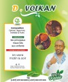 D.VOLKAN