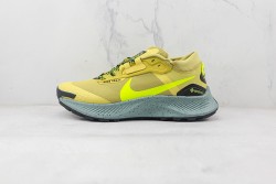 PEGASU Nike