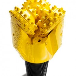 Tricone foret