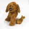 couche-pour-animaux-de-compagnie