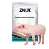 Améliorer l'immunité porcine